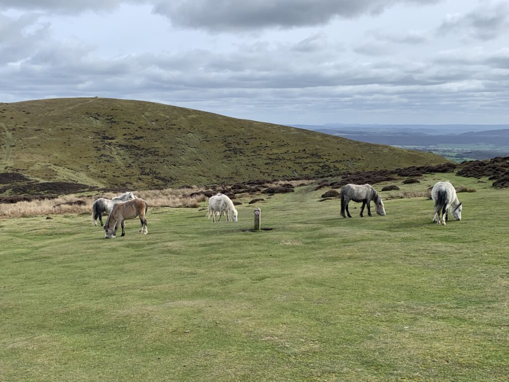 The Long Mynd