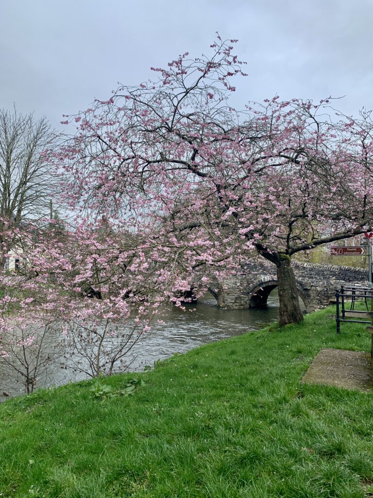 Easter things to do near Ludlow