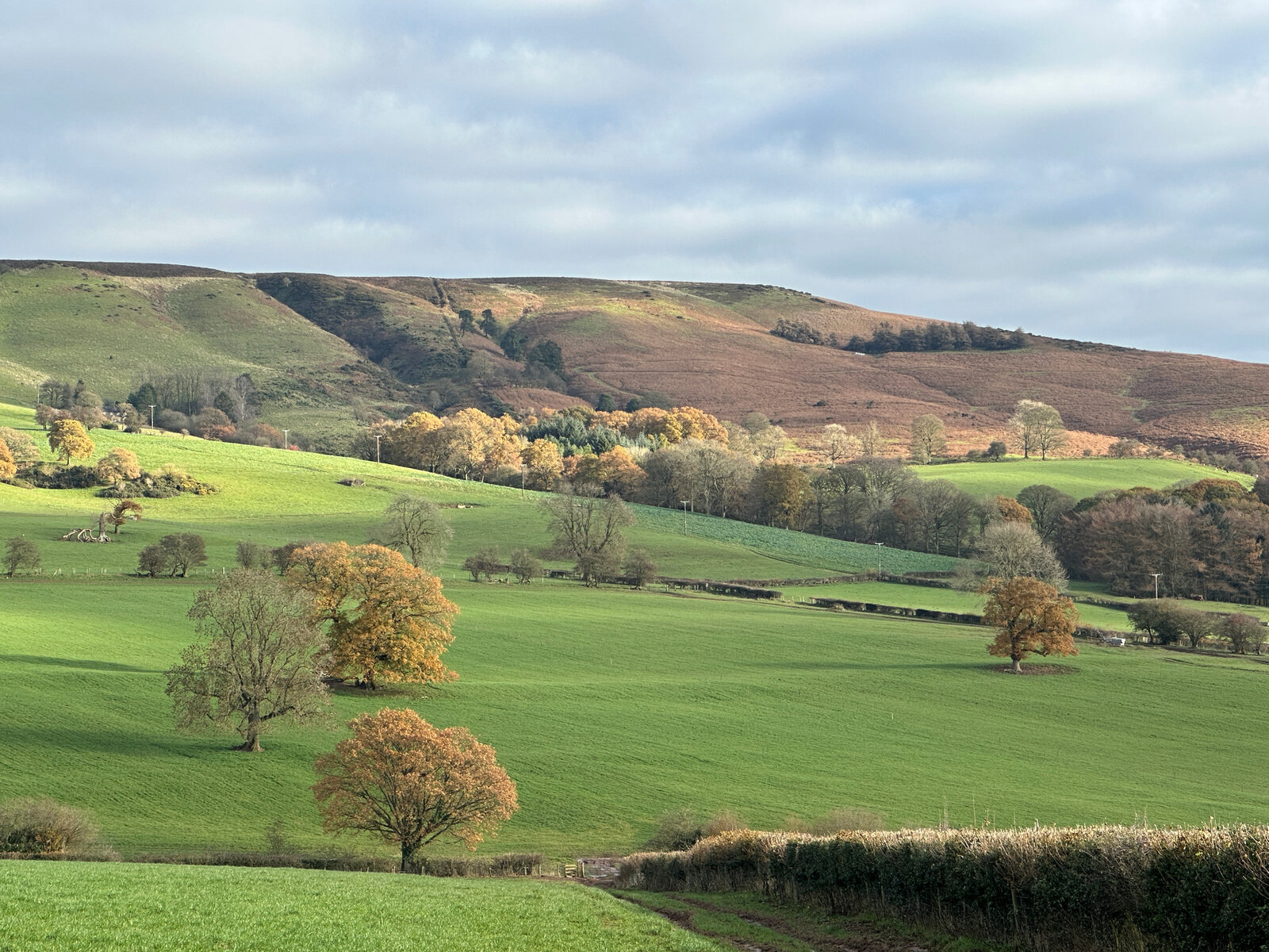 Autumn landscape in the Shropshire Hills