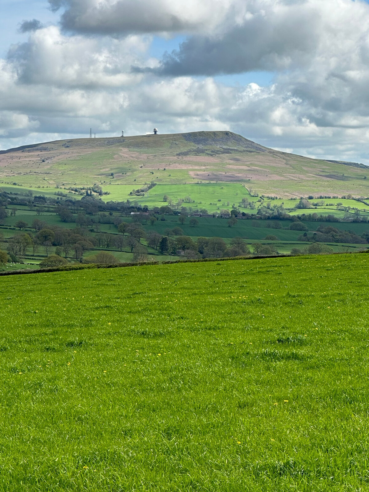 Green fields and a hill near St Milburga Chapel